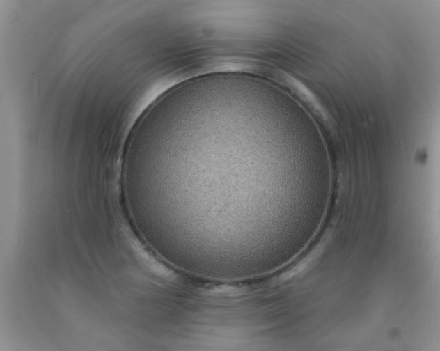 X0000092031178200709201606