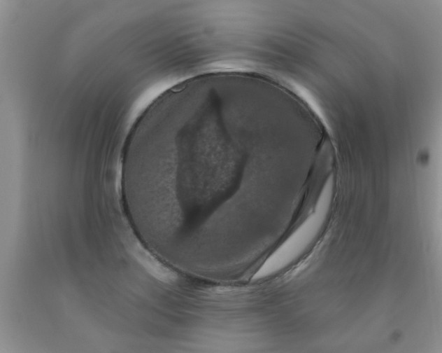 X0000092031179200709201606