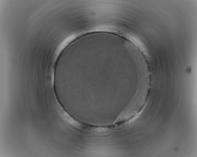 X0000092031180200709201606