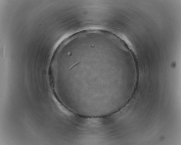 X0000092031181200709201606