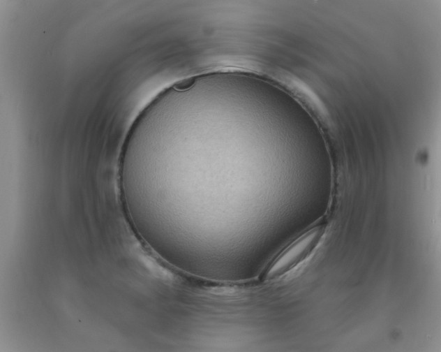 X0000092031182200709201606