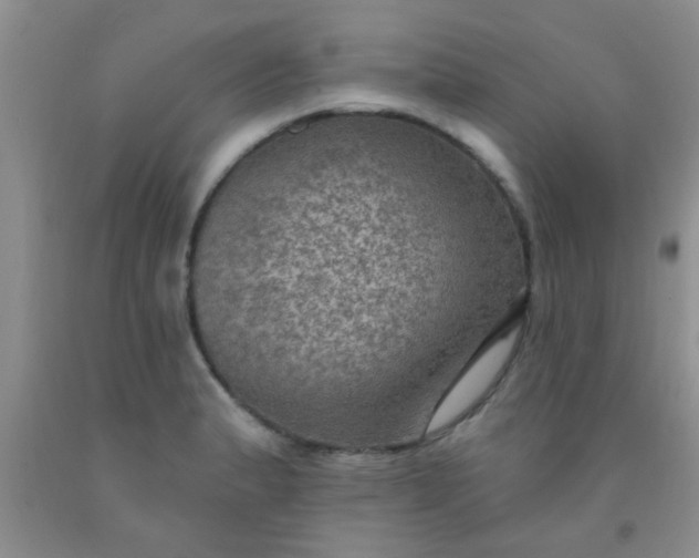 X0000092031183200709201606