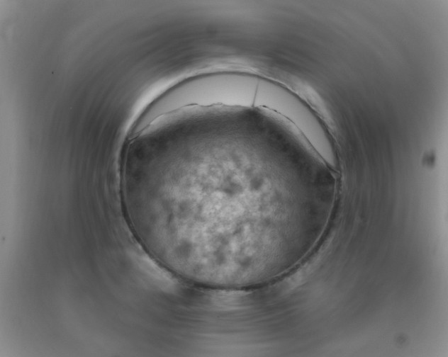 X0000092031184200709201606