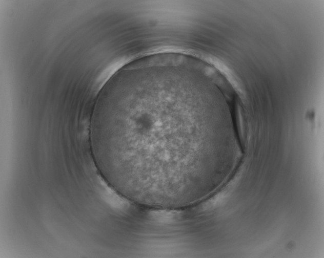 X0000092031185200709201606