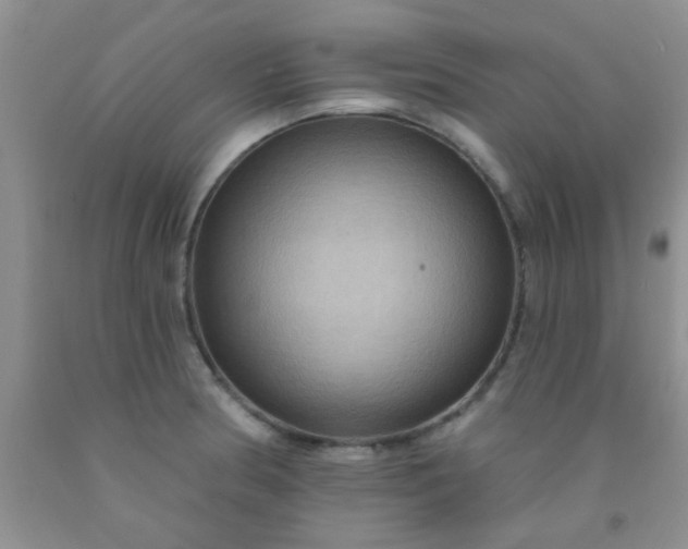 X0000092031186200709201605