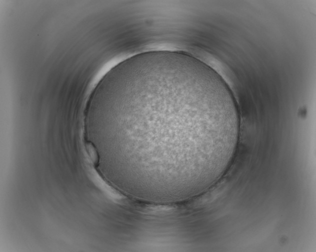 X0000092031187200709201605