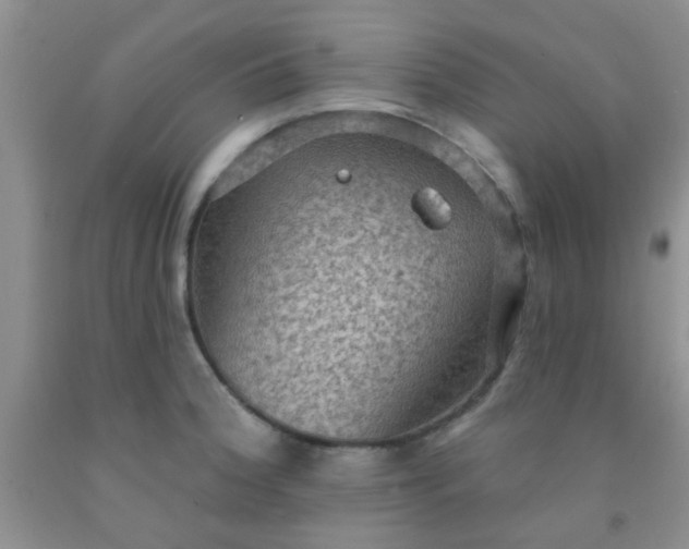 X0000092031188200709201605