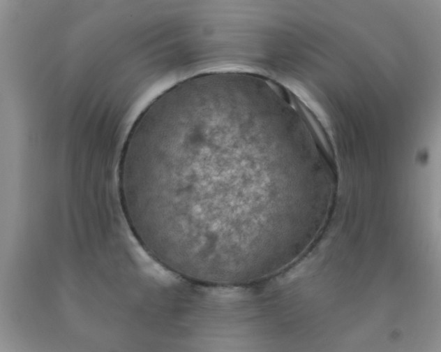 X0000092031189200709201605