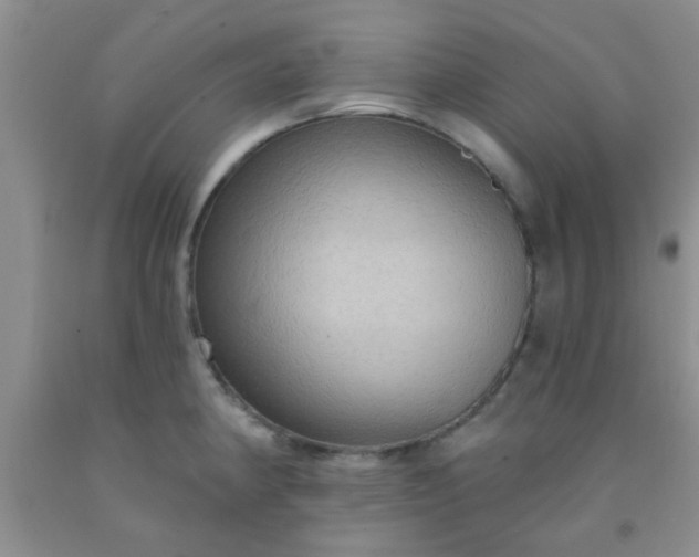 X0000092031190200709201605