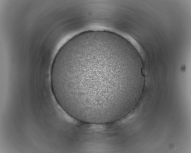 X0000092031191200709201605