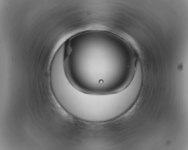 X0000092031192200709201605