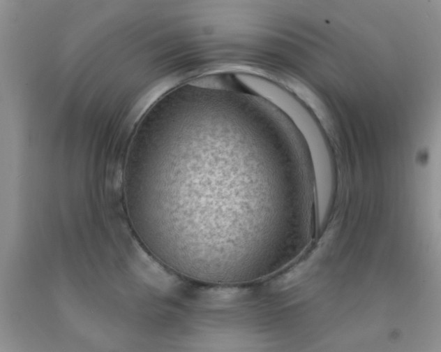 X0000092031193200709201605