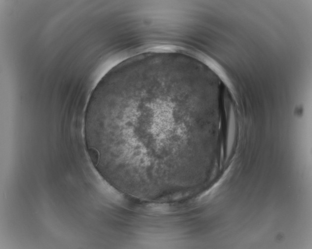 X0000092031194200709201605