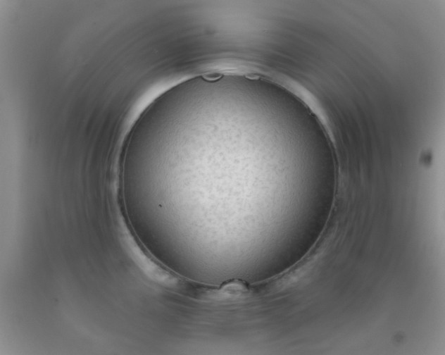 X0000092031195200709201605