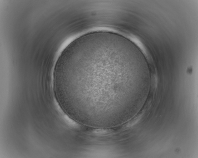 X0000092031199200709201605