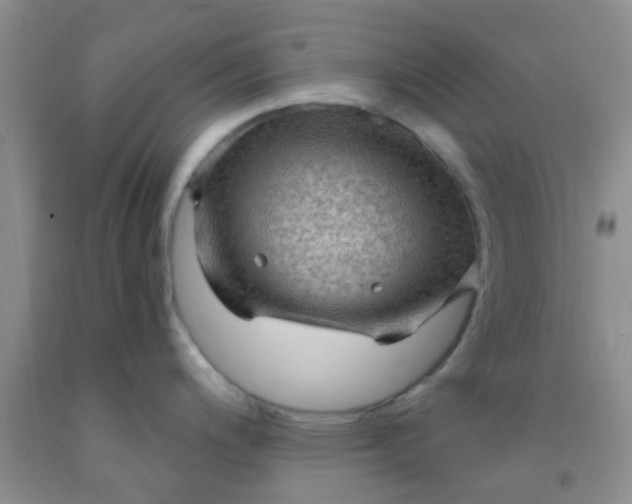 X0000092031200200709201605