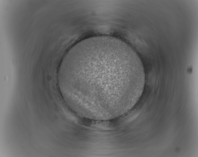 X0000092031201200709201605