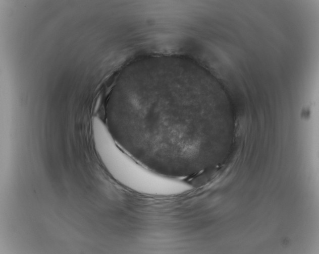 X0000092031202200709201605