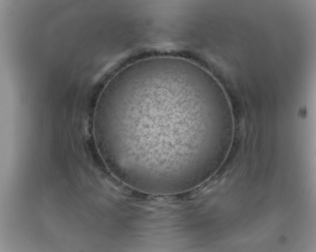 X0000092031205200709201605