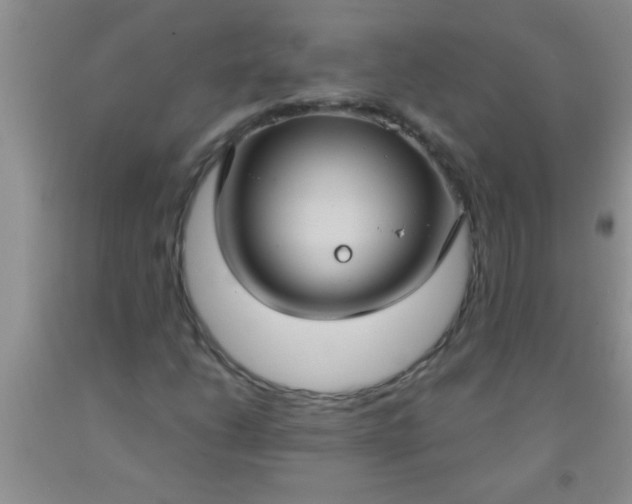 X0000092031206200709201605