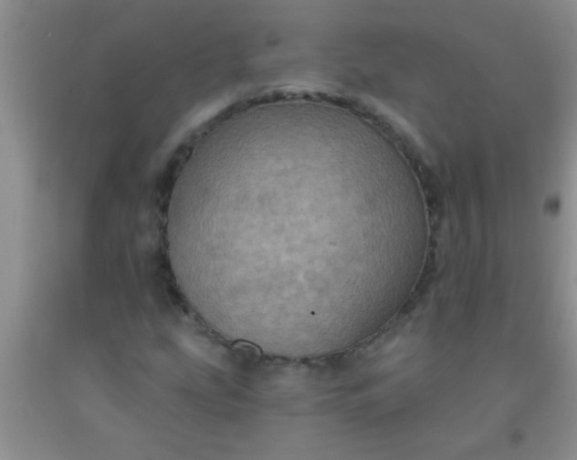 X0000092031207200709201605