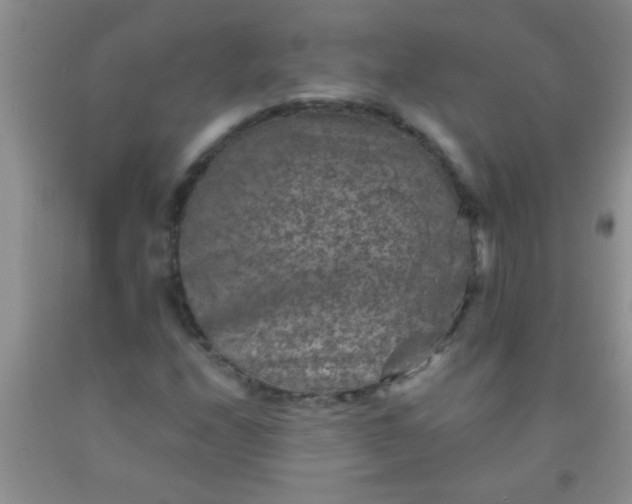 X0000092031208200709201605