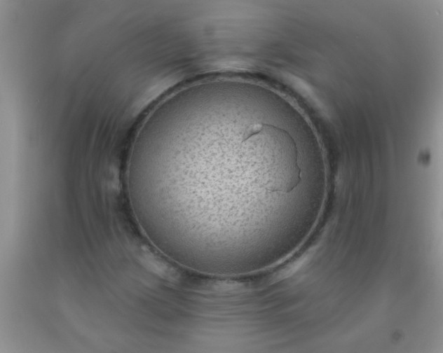 X0000092031209200709201605