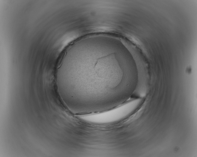 X0000092031210200709201605