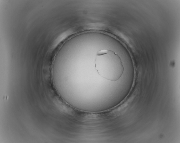 X0000092031211200709201605