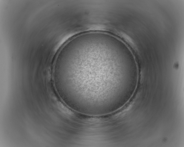 X0000092031212200709201605