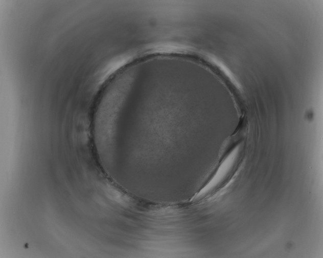 X0000092031213200709201605