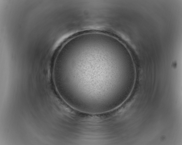 X0000092031214200709201605