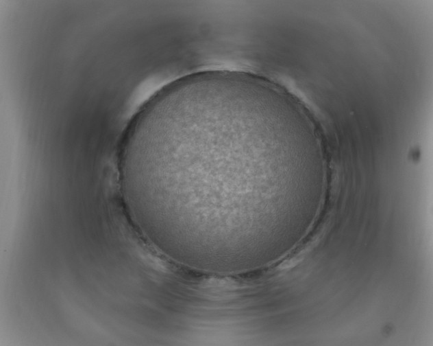 X0000092031215200709201605