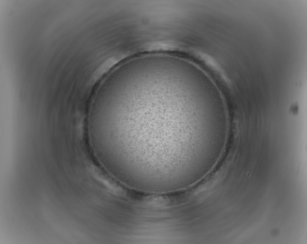 X0000092031217200709201605