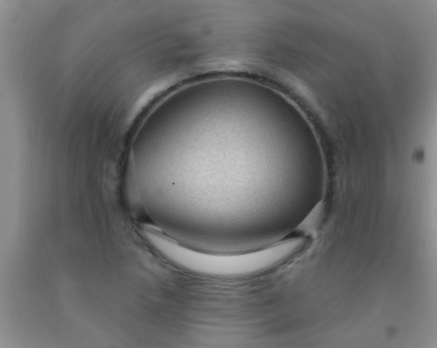 X0000092031218200709201605