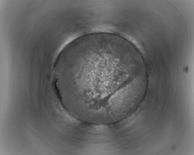 X0000092031219200709201605