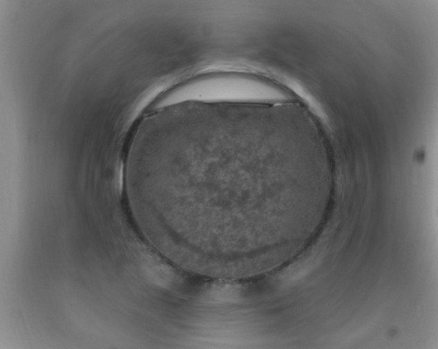 X0000092031221200709201605