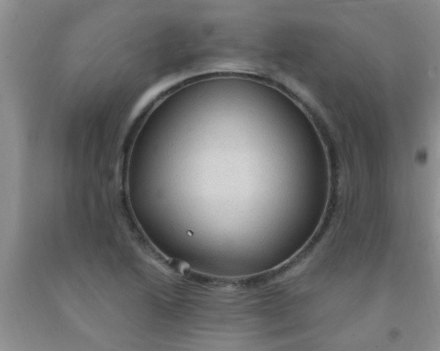 X0000092031222200709201605