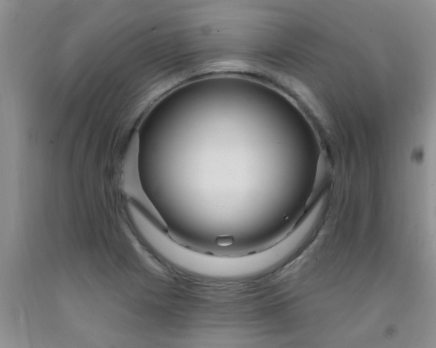 X0000092031225200709201605