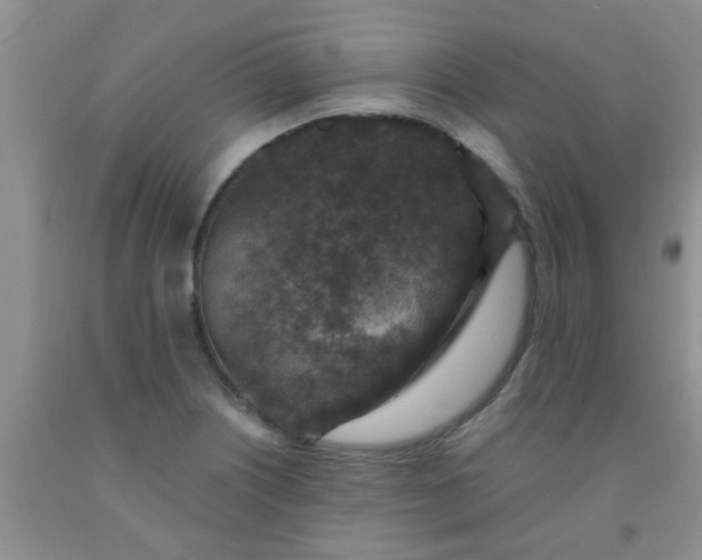 X0000092031226200709201605