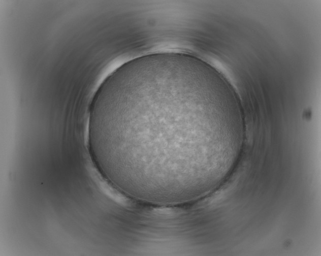 X0000092031227200709201605