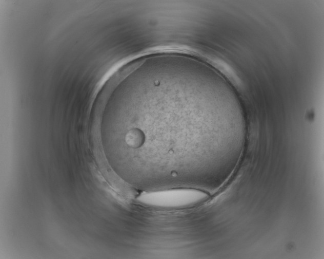 X0000092031228200709201605