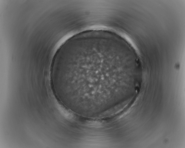 X0000092031229200709201605