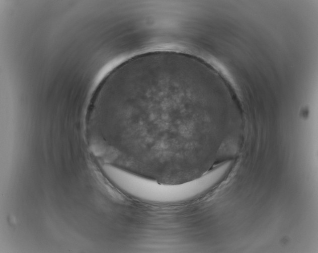 X0000092031230200709201605