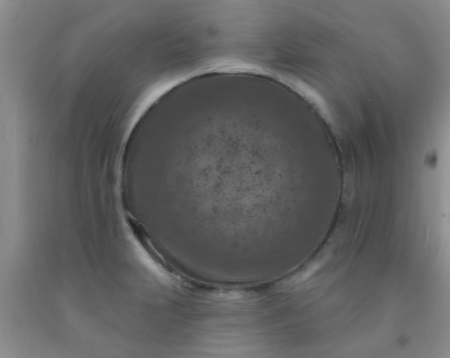 X0000092031231200709201605