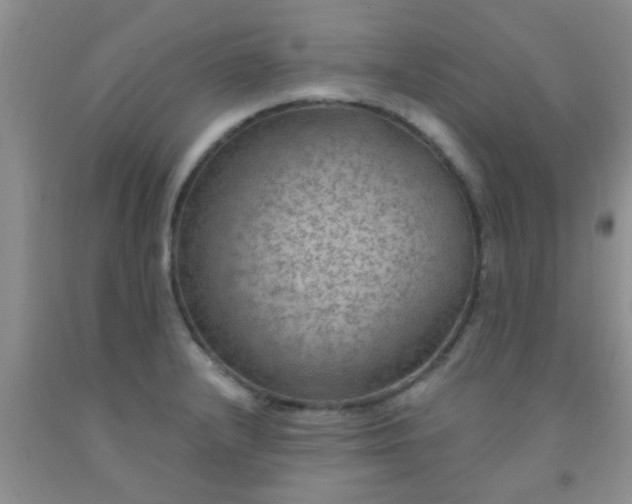 X0000092031232200709201605