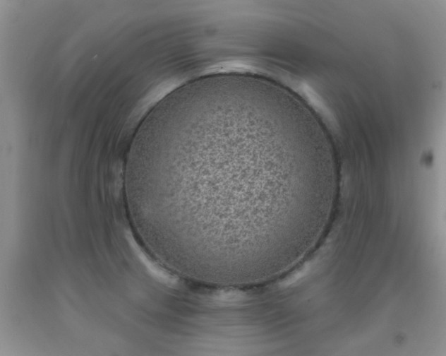 X0000092031233200709201605