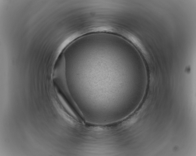 X0000092031234200709201605