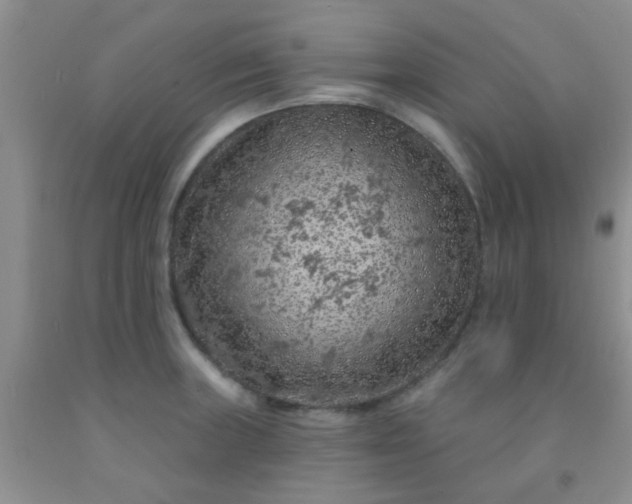 X0000092031235200709201605