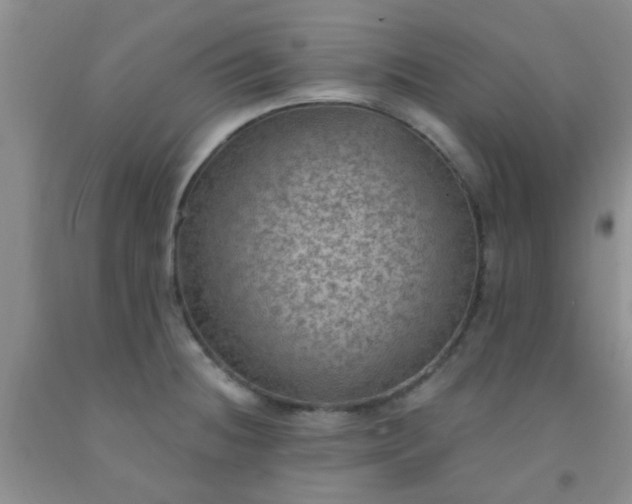 X0000092031236200709201605